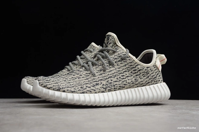AQ4832 Boost Adidas YEEZY Dove 350 Turtle 0821